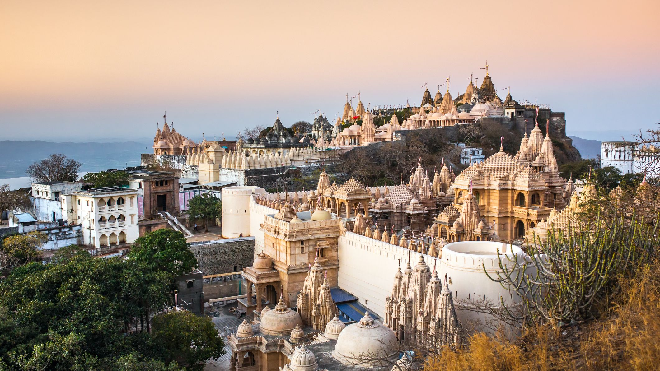 Exclusive Gujarat Tour