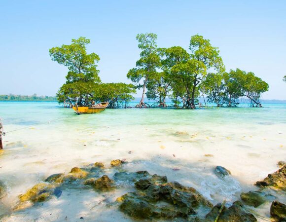 Exotic Beaches of Andaman’s
